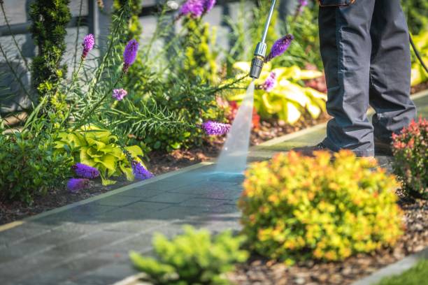 Best Winterizing Services  in South Palm Beach, FL