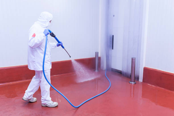 Best Spring Cleaning  in South Palm Beach, FL